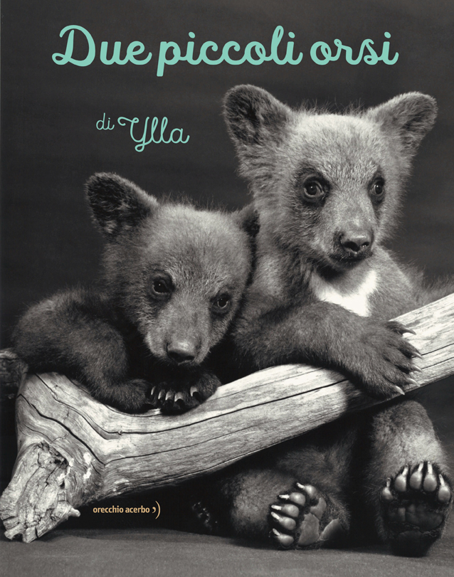 La copertina di due piccoli orsi di Ylla. Edito da orecchio acerbo